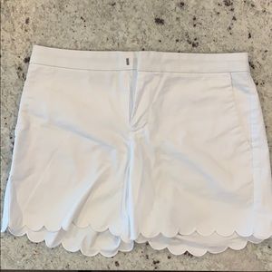 Never been worn Loft shorts